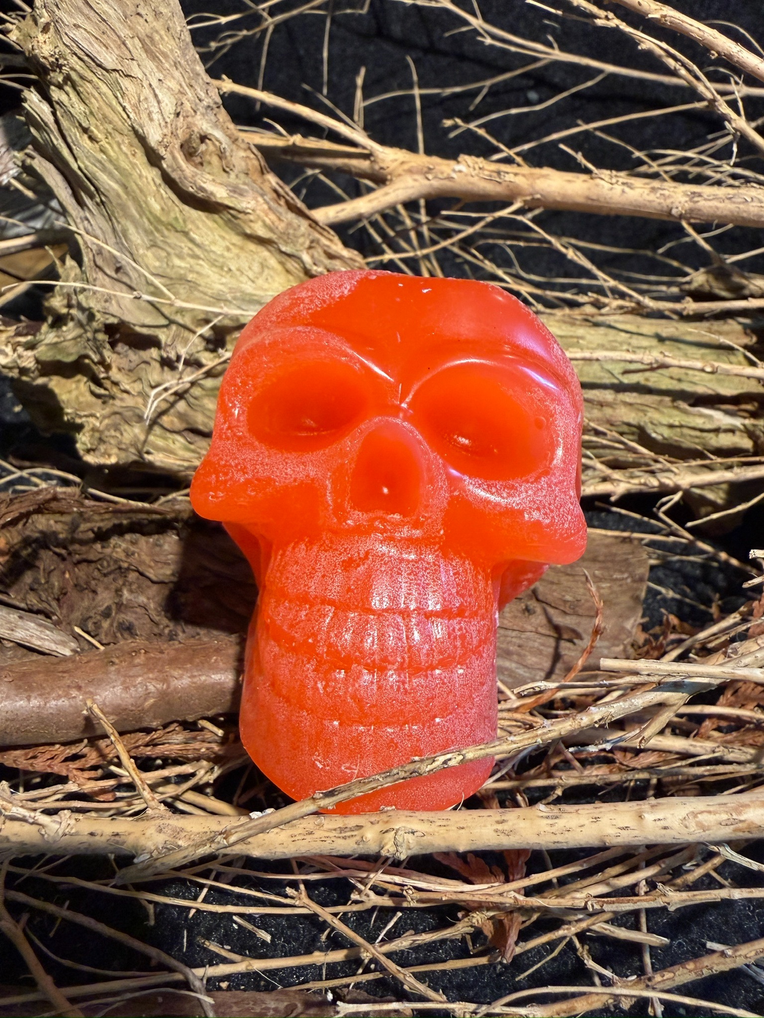 Orange Totenkopfkerze zwischen Ästen